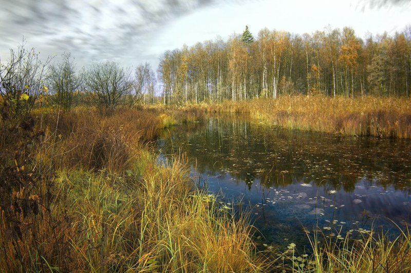 про позднюю осень на Валае фото превью