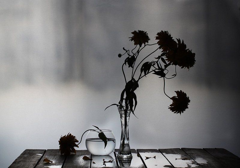 натюрморт, цветы *)  (** фото превью