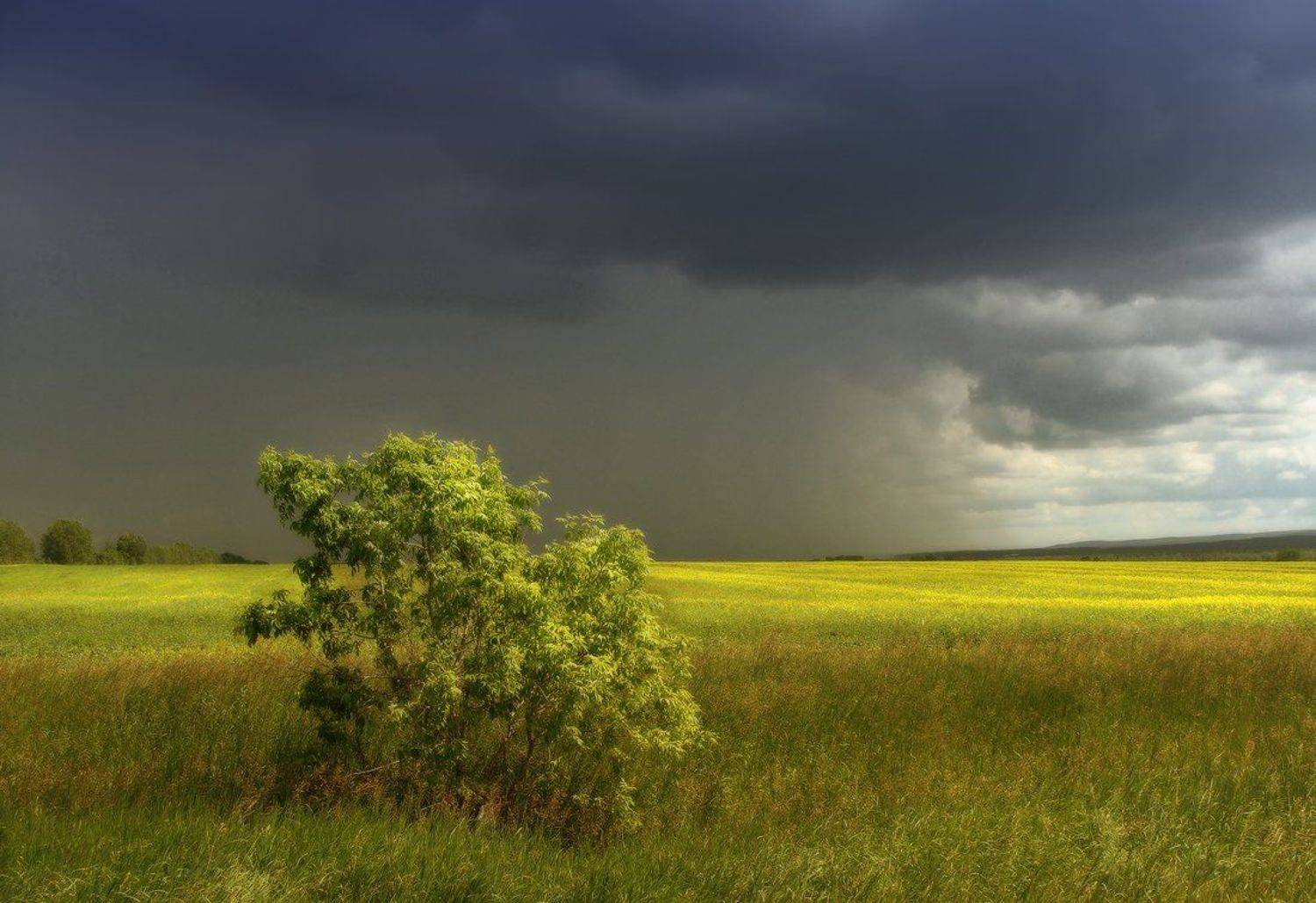 лето, гроза, дождь, Галина Хвостенко