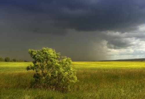 Гроза надвигается
