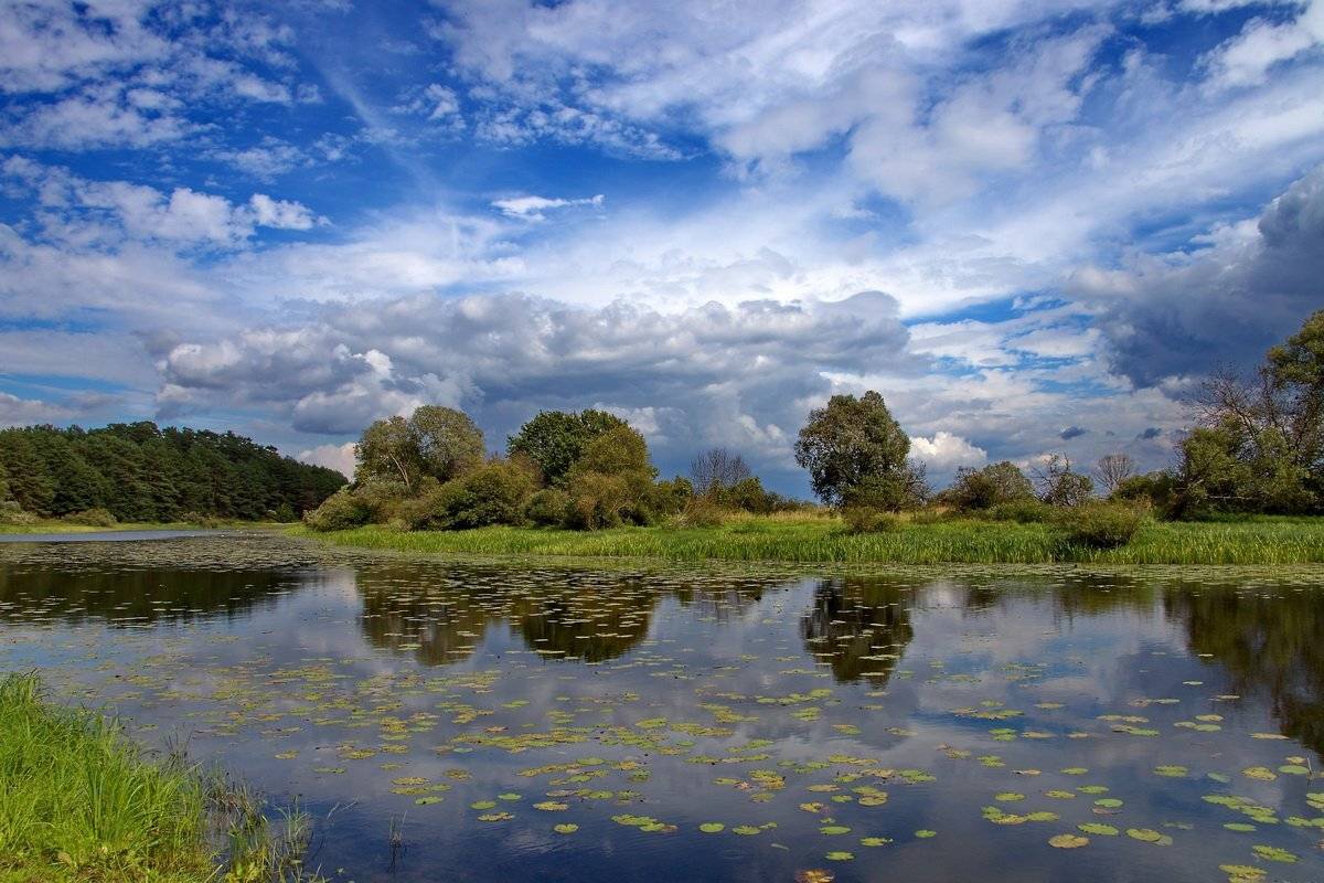 , Валерий Кондратов