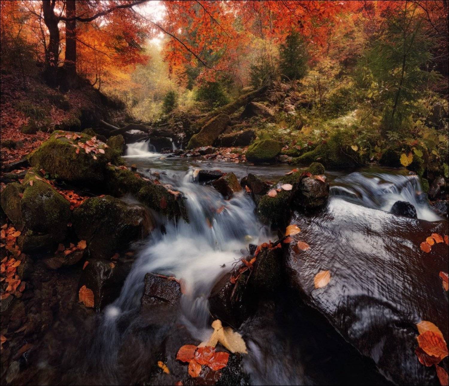 , Влад Соколовский