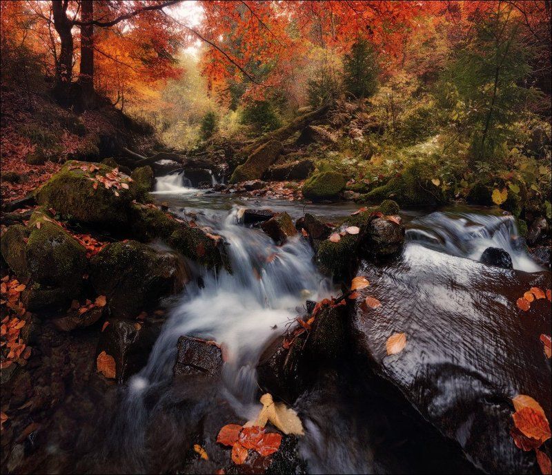 / Осенние акценты / фото превью