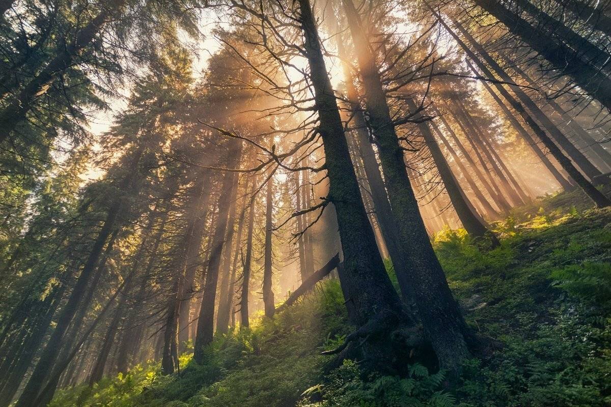 , Жмак Евгений