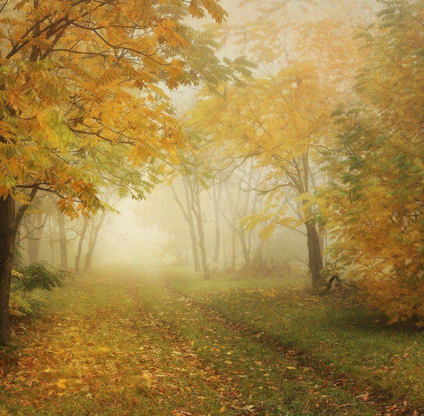 , Михаил  Пилипенко