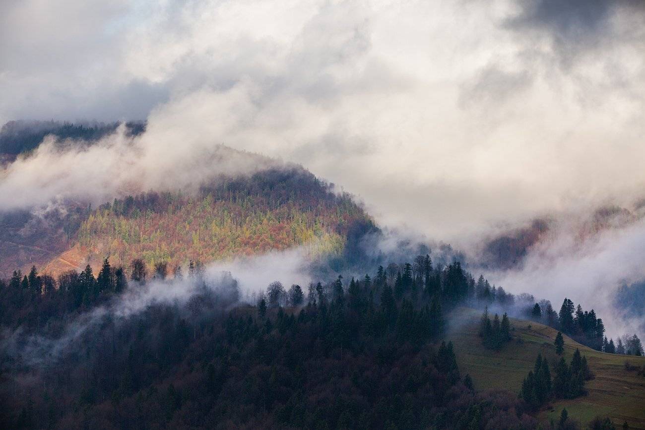 , Игорь Иванов