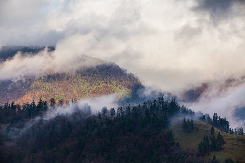 Ноябрь в Карпатах фото превью