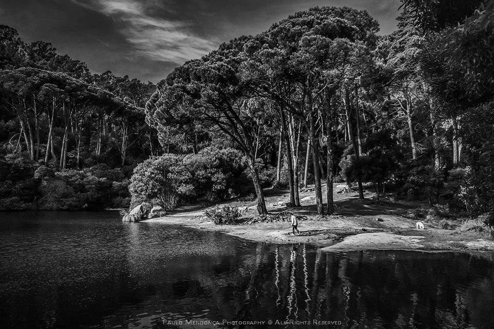 , Paulo Mendon&ccedil;a