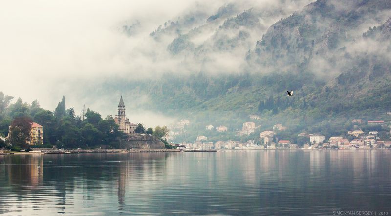 Европа, Залив, Туман, Чайка, Черногория  фото превью