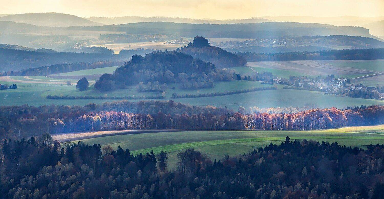 , Игорь Дубровский