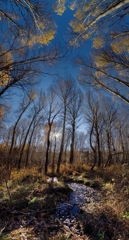 Осеннее Головокружение фото превью