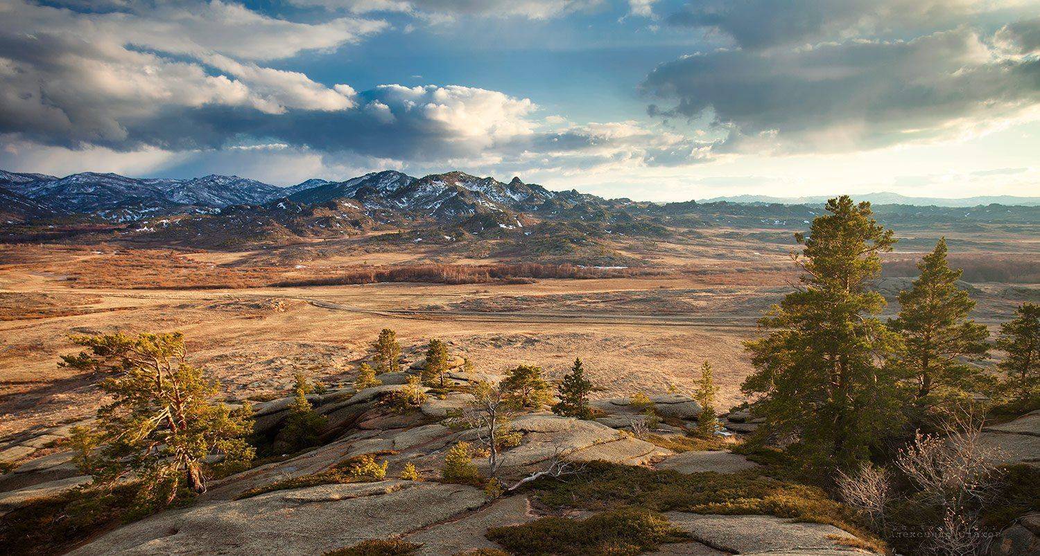 , Александр Стахов
