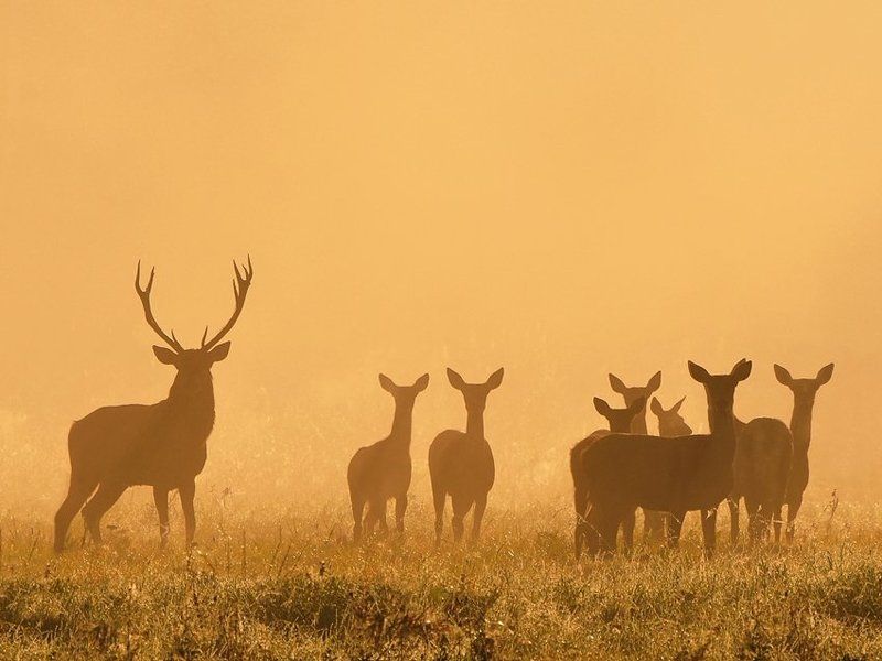 lucky guy фото превью