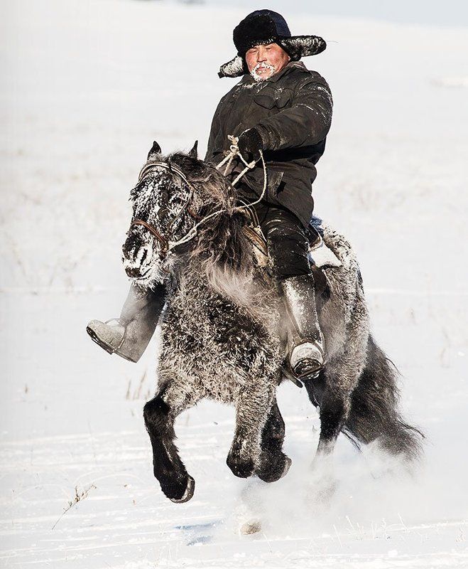 passion фото превью