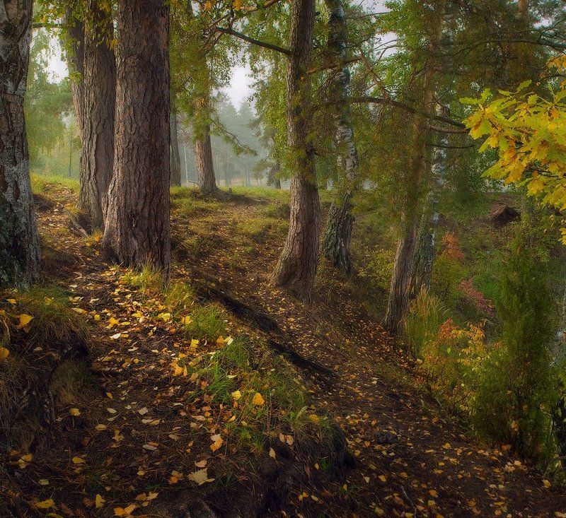 Осенний сюжет фото превью