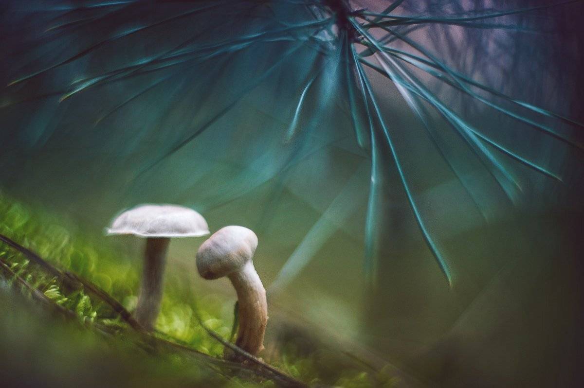 , Татьяна Аверина