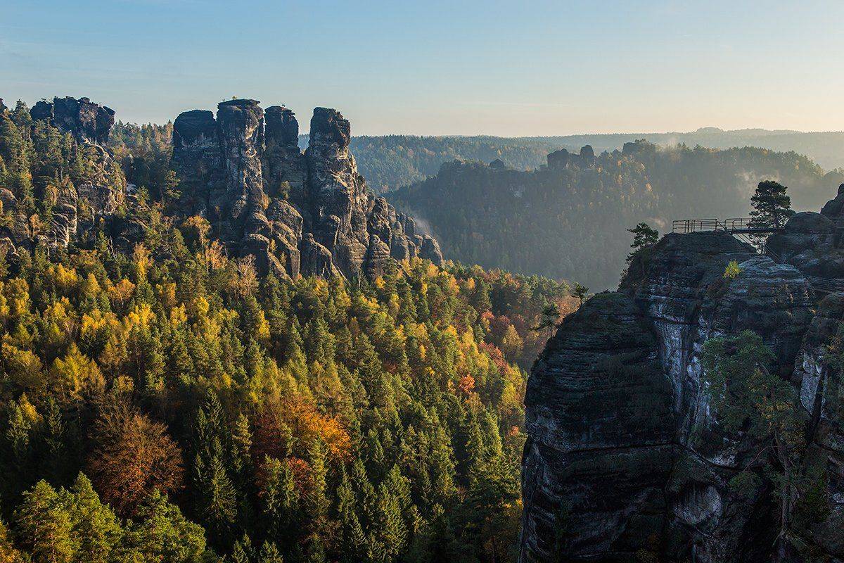 , Игорь Дубровский