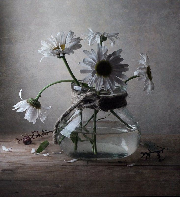 Натюрморт, Ромашки Ромашки фото превью