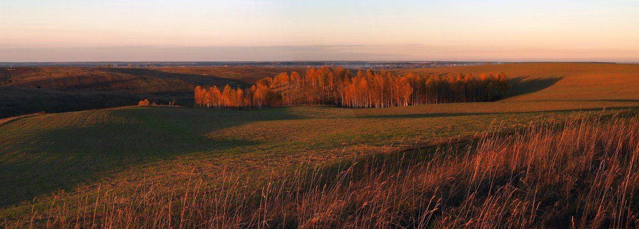 , Николай Шахманцир