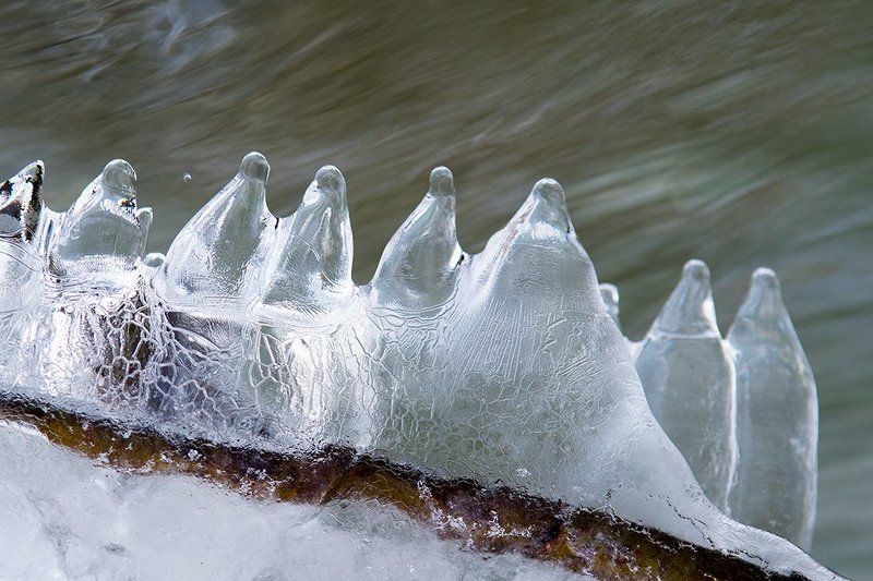 В последний день осени фото превью