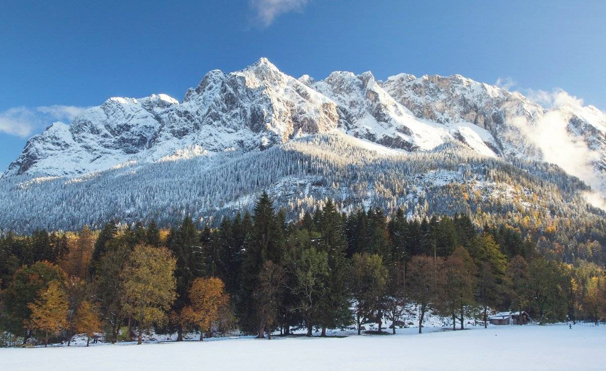 , Александр Удовиченко