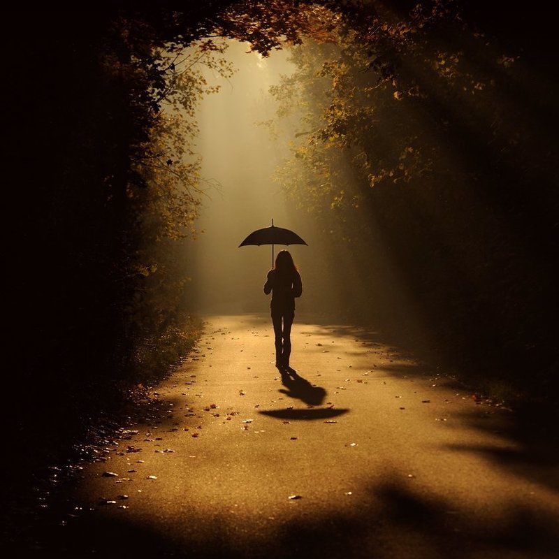 sunny rain фото превью