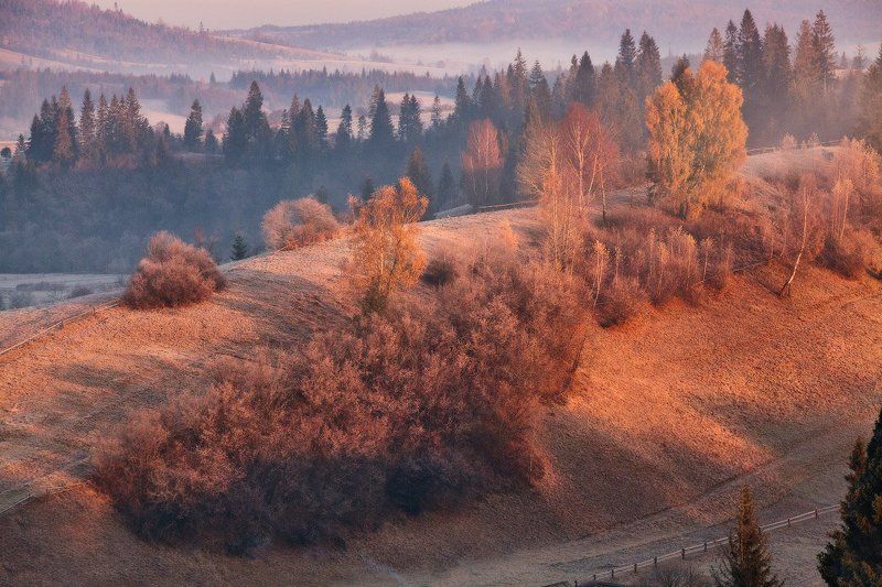 Ноябрьская утренняя фото превью