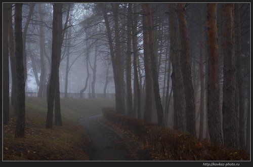 Старый парк