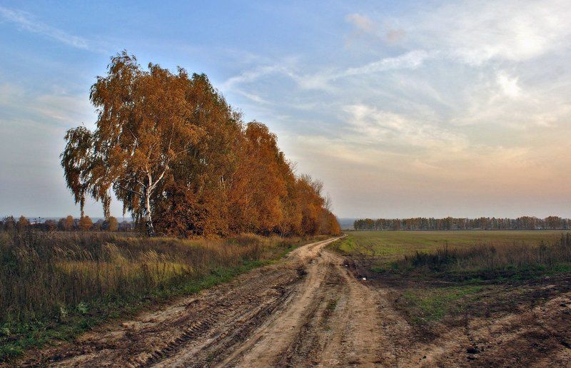 Осень в полях фото превью