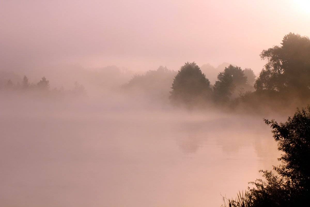 , Иваненко Светлана