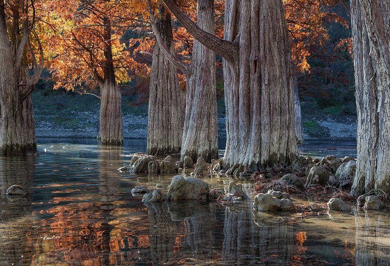 Осенняя пора фото превью