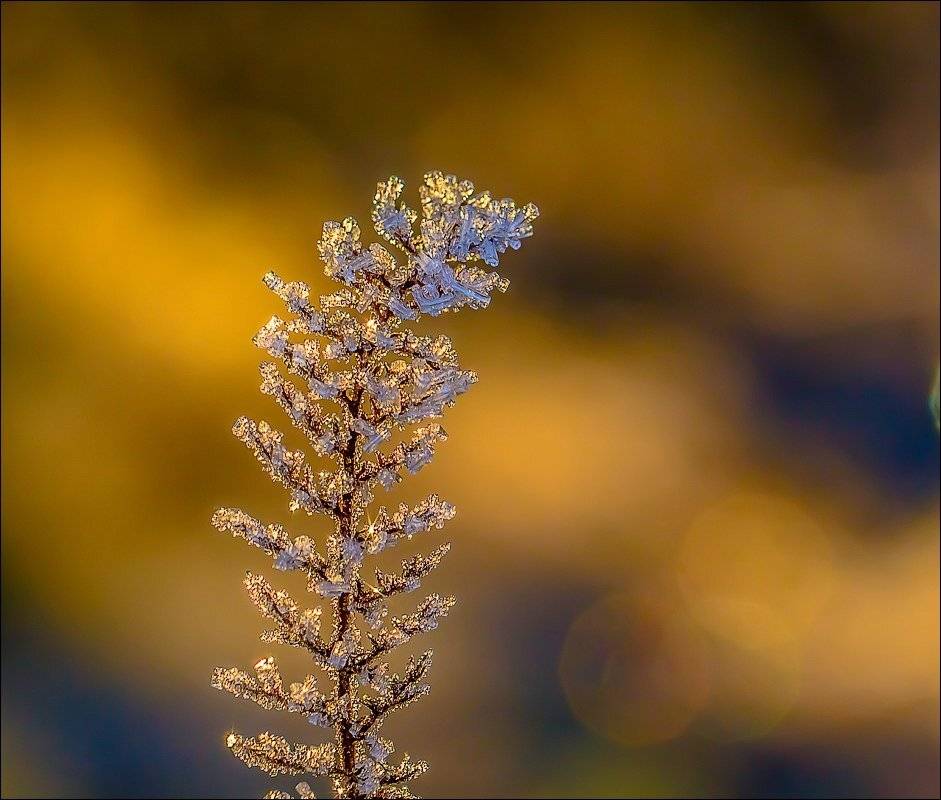 , Бурлов Андрей