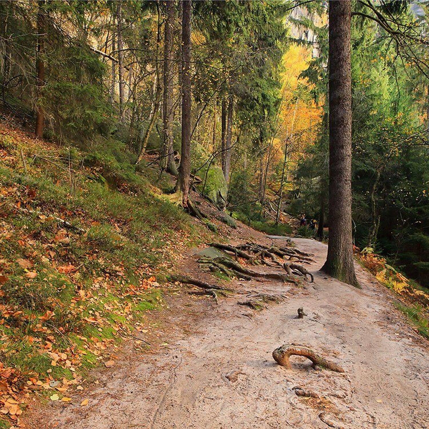 , Игорь Дубровский