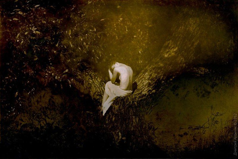 memories... фото превью