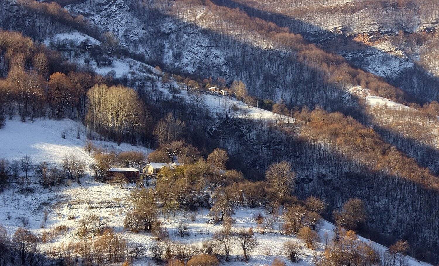 , Ирина Костова