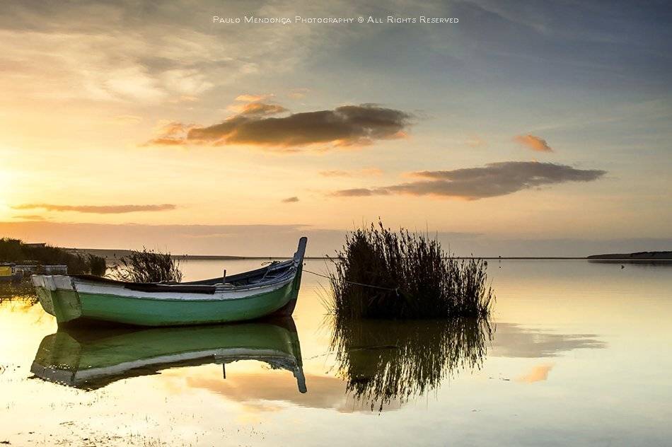 , Paulo Mendon&ccedil;a