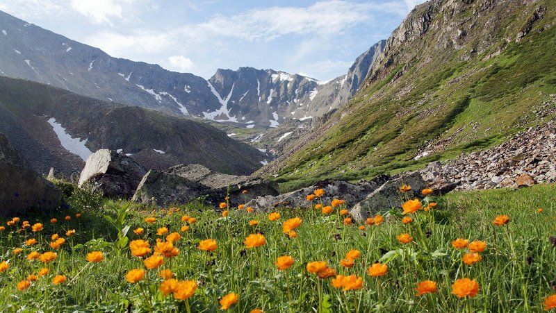 Огоньки фото превью