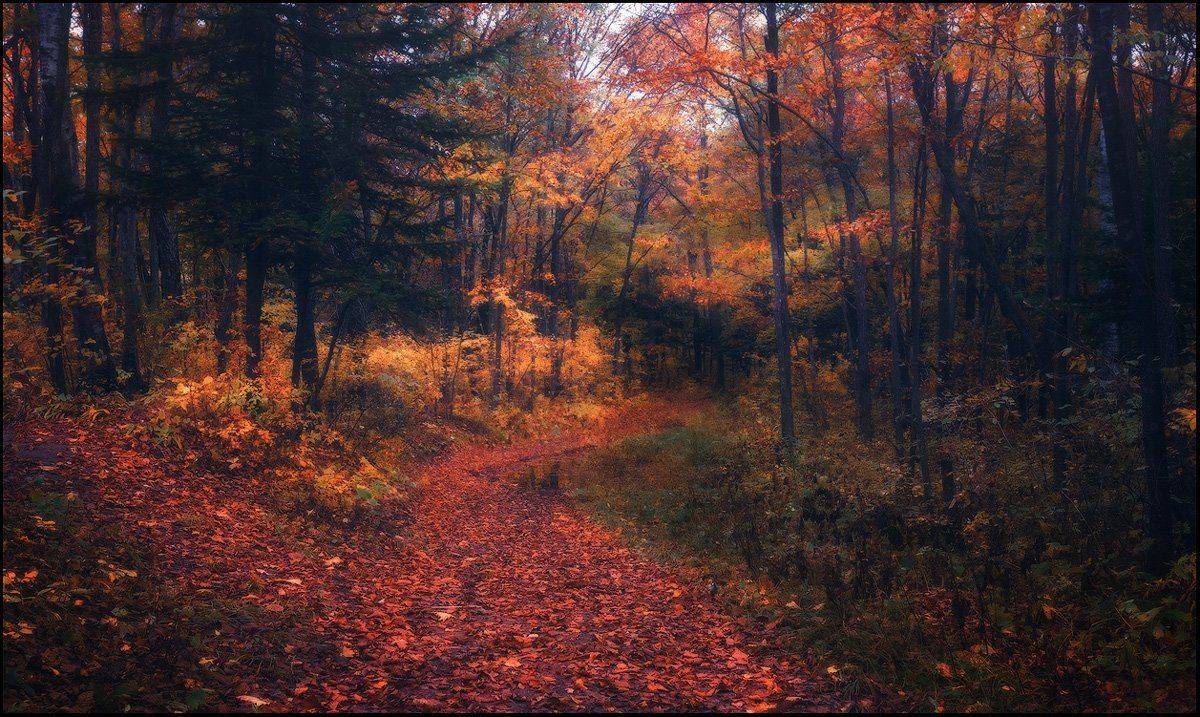 , Андрей Кровлин