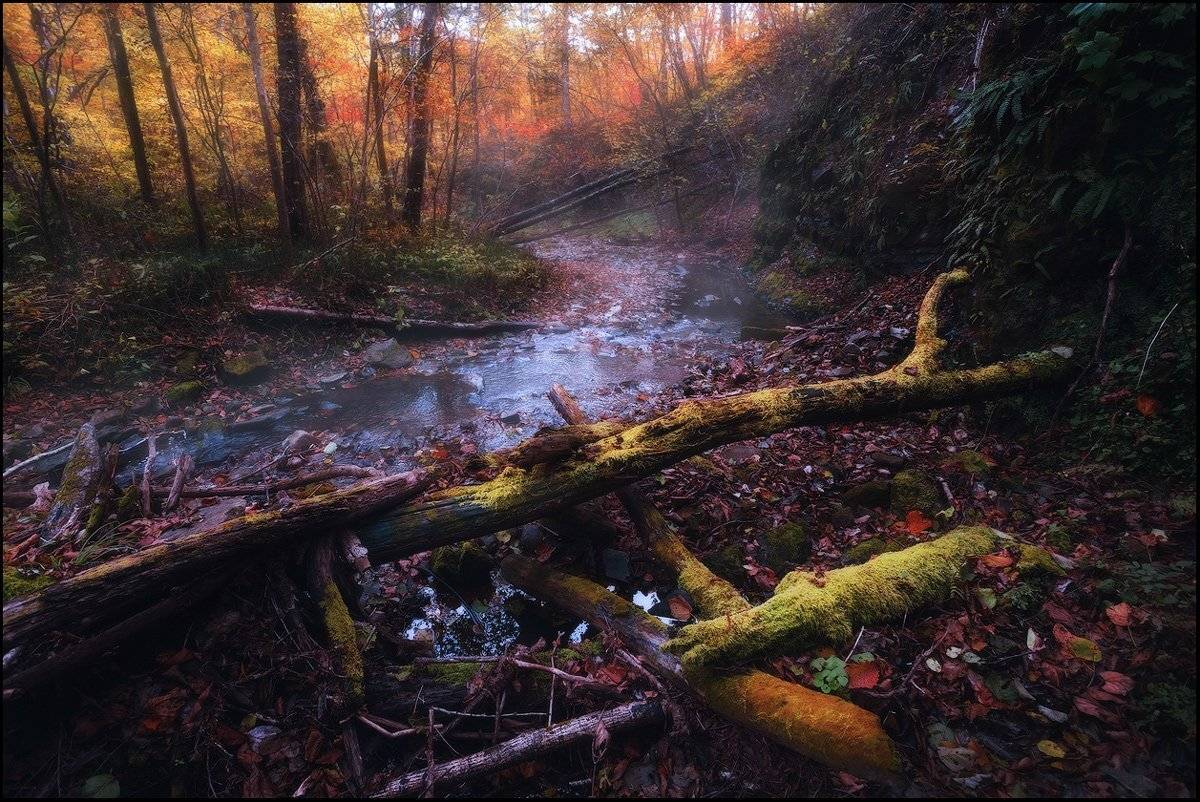 , Андрей Кровлин