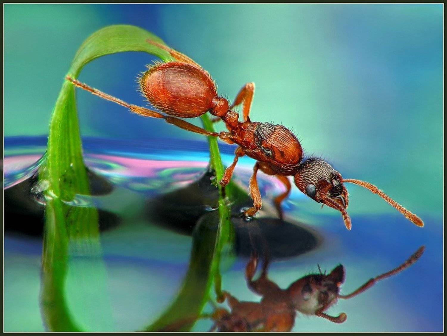, Петров Геннадий