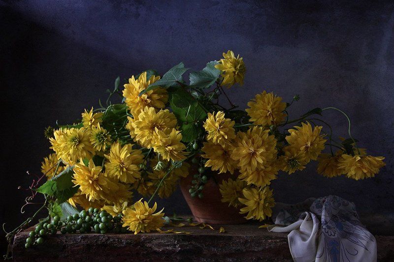 цветы, натюрморт С виноградом фото превью