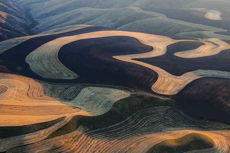 Pattern фото превью