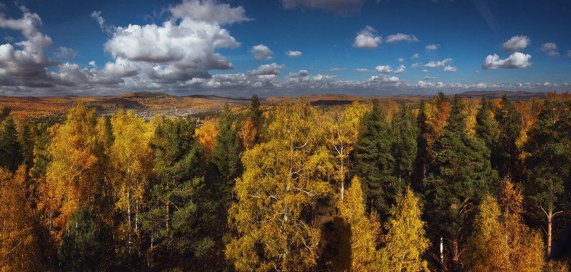 По верхушкам бродит осень фото превью