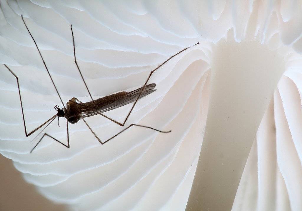 , Сергей Таланов