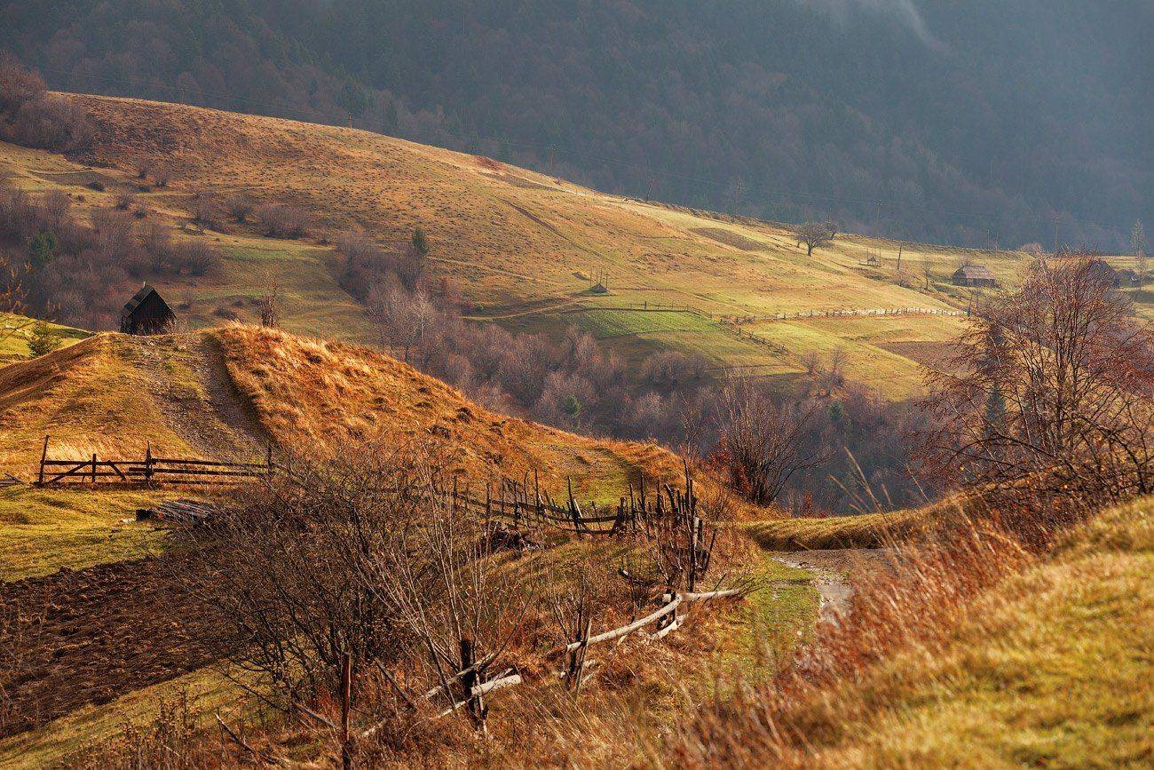 , Игорь Иванов