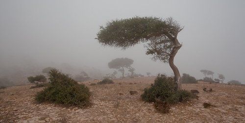 Марокканское...