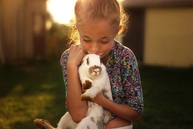 Говорят вкусные. фото превью