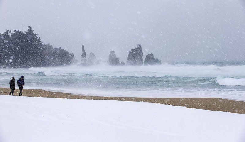 THE WHITE LOVERS фото превью