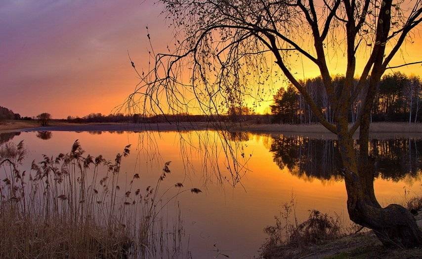 , Валерий Кондратов