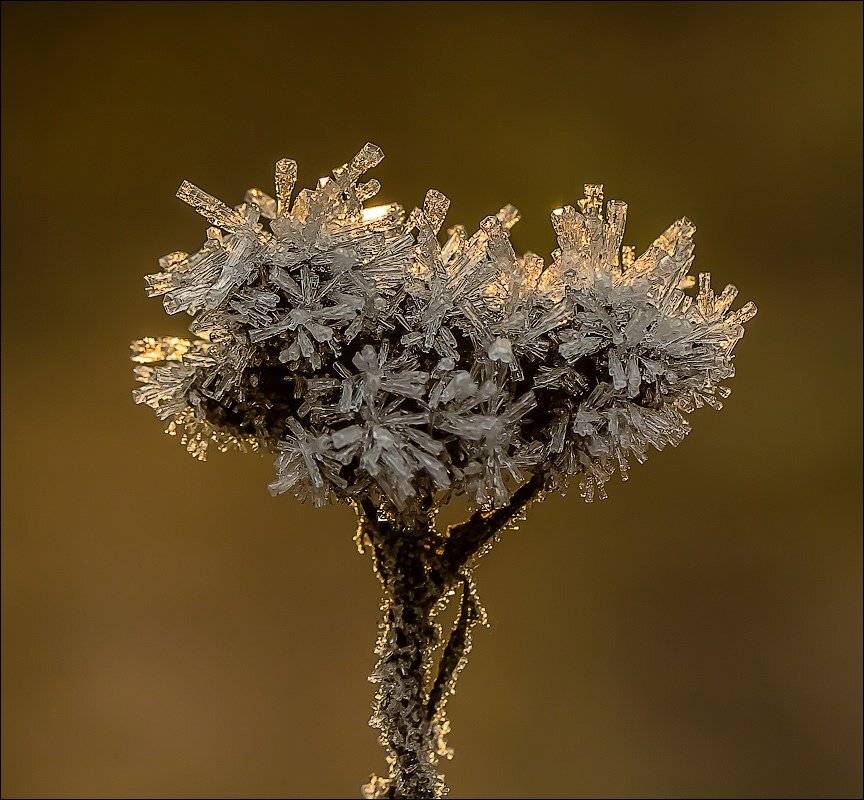 , Бурлов Андрей